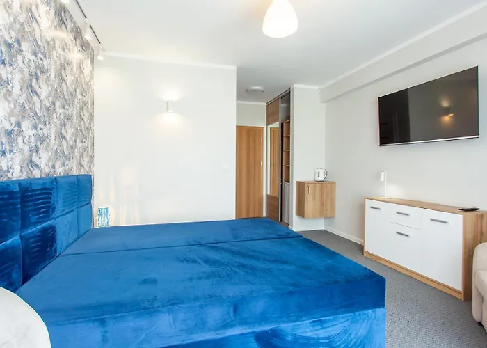 Bursztynowa Przystan 3* 그르지보보